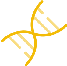 Zellgesundheit Verbessern