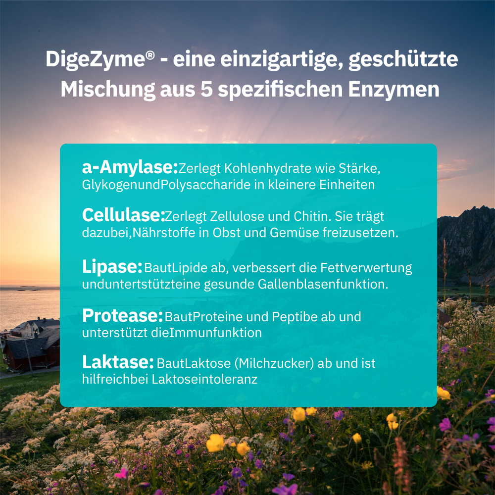 Bio Digestin – Digestive Support