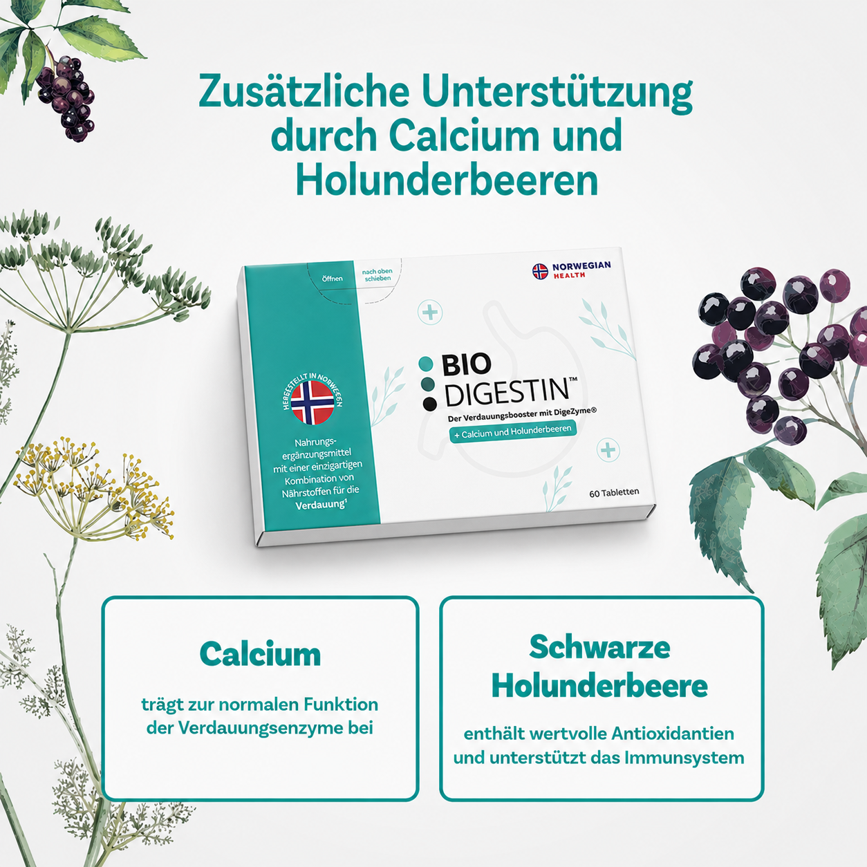 Bio Digestin – Digestive Support