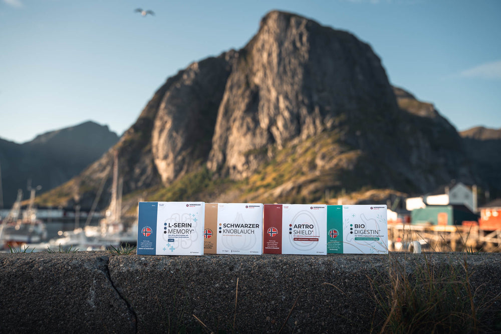 Nahrungsergänzungsmittel von Norwegian Health vor norwegischer Fjordlandschaft