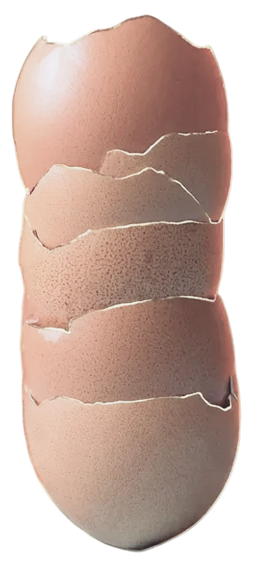 Der papierdünne Schatz: Ovomet® Eierschalenmembran