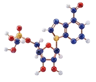<p>Energie beginnt auf <strong>zellulärer Ebene</strong></p>