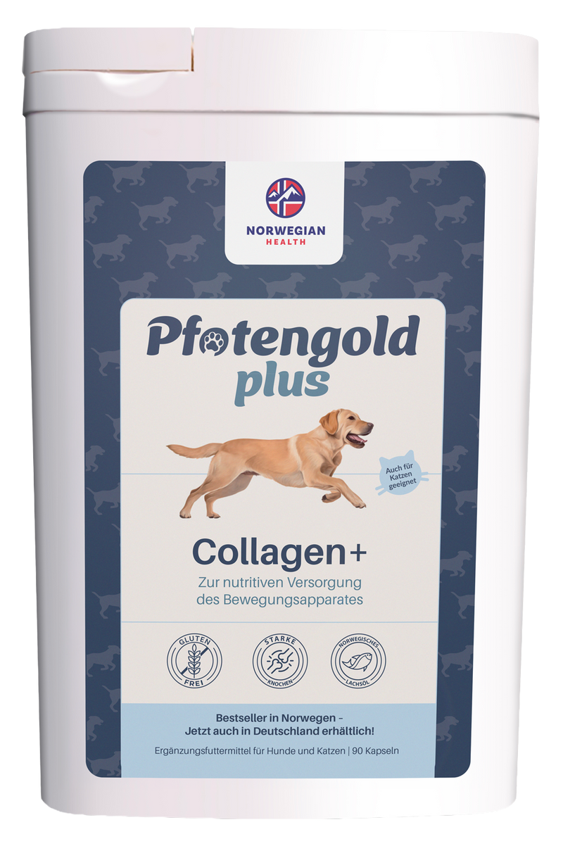 <strong>Pfotengold </strong>Plus