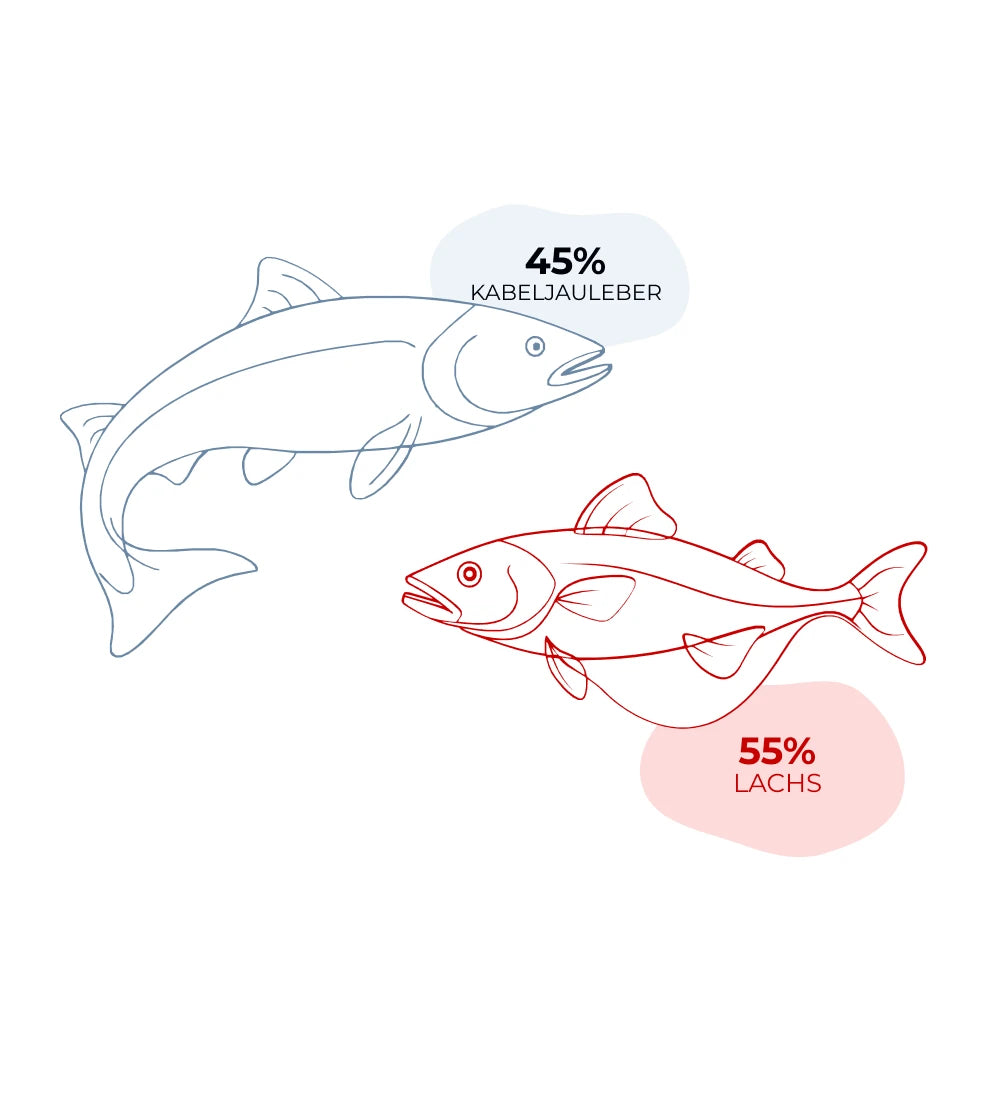 Techniker, die auf See Lachsöl gewinnen